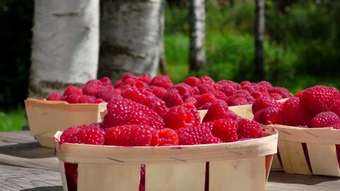 Baskets of ripe raspberries is standing on a table Video stock 105878081