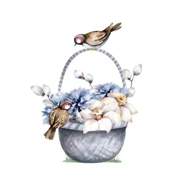 Baskets of spring flowers. Hand drawn watercolor isolated illustration Stock Illustration