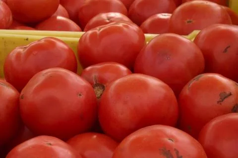 Baskets of tomatoes #2 Stock Photos