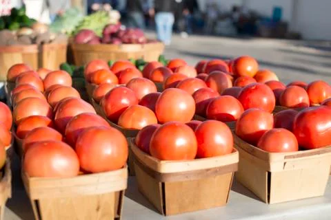Baskets of tomatoes all in a row at the local farmers market farm fresh tomatoes Stock Photos