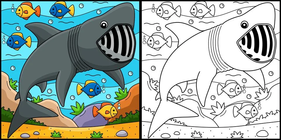Basking Shark Coloring Page Colored Illustration Stock Illustration