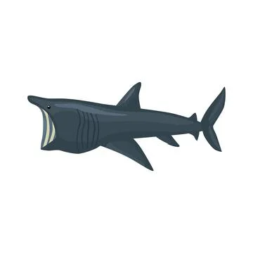 Basking shark isolated on white background. Cartoon character of ocean for ch Stock Illustration