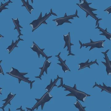 Basking shark seamless pattern in scandinavian style. Marine animals backgrou Stock Illustration