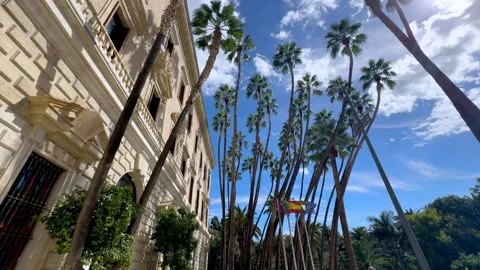 Basking in sunny greenery beneath the vibrant palms of a historic building Video stock 290019693