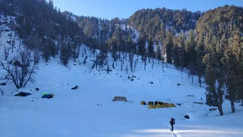 Basking in the sunshine Stock Photos