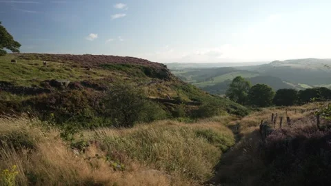 Baslow Edge at sunset, Baslow, Peak District National Park, Derbyshire, England Stock Footage 285412984