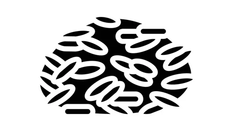 Basmati rice glyph icon animation Stock Footage 224919677