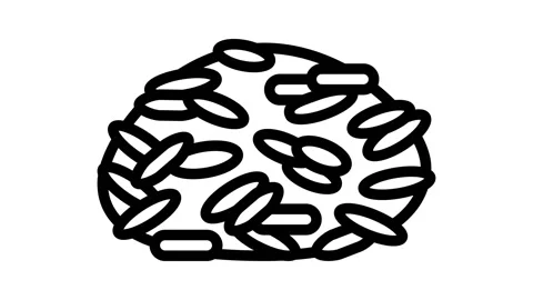 Basmati rice line icon animation Stock Footage 224956772