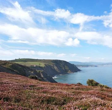 Basque Coast Stock Photos