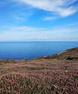 Basque Coast Stock Photos