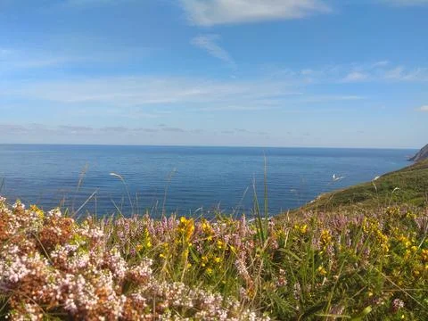 Basque Coast Stock Photos