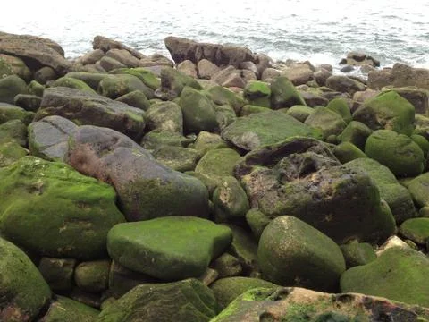 Basque Country Edge Foto stock