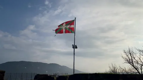 Basque Country flag 動画素材 253264163