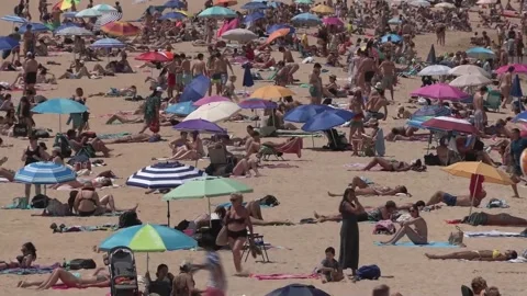 Basque Government extends red alert for extreme temperatures until Wednesday, Sa 스톡 동영상 337636352