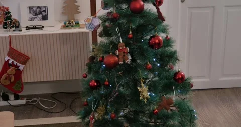 Basque Tradition: Olentzero under Christmas Tree Stock Footage 327845264