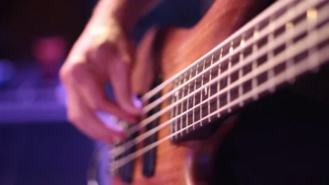 Bass 4 库存影片 76505172