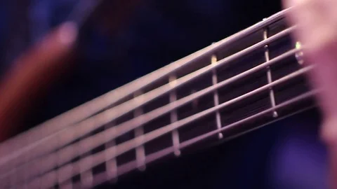 Bass 6 库存影片 76505212