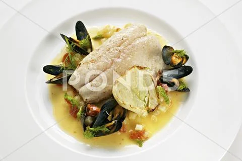 Bass fillet with mussels and fennel Stock Photos