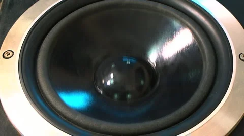 Bass Stock Footage 1099354