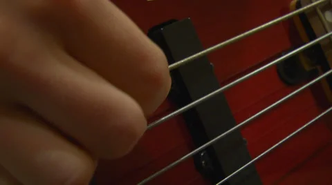 Bass Stock Footage 34737074