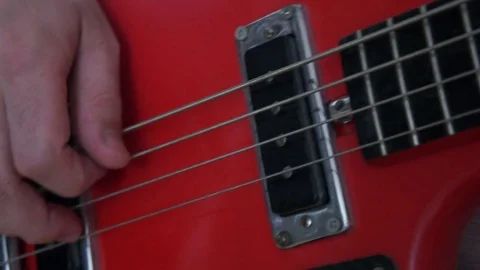 Bass	 Stock Footage 78383538