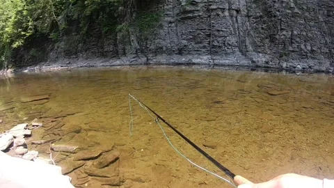 Bass hookset and fight Stock-Footage 336030443
