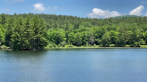Bass Lake Stock Footage 220627984