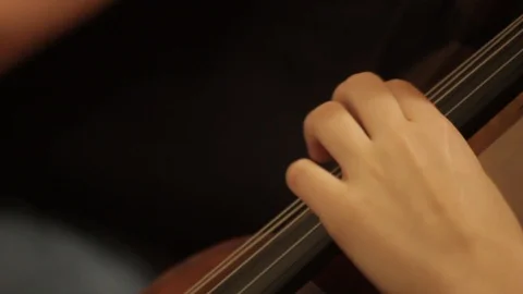 Bass neck playing notes close up 스톡 동영상 86532695