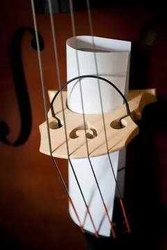 Bass with notes Stock Photos