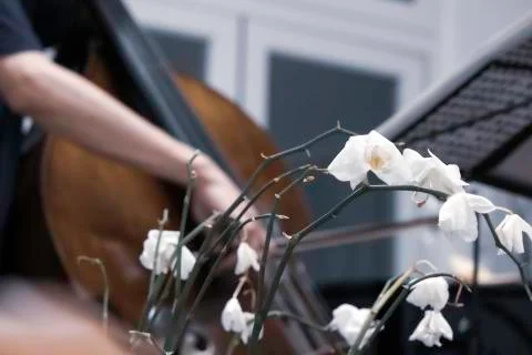 Bass Notes Stock Photos