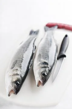 Bass Stock Photos