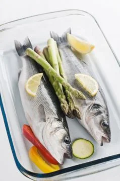 Bass Stock Photos