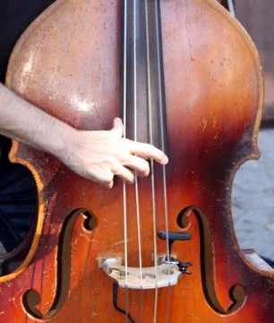 Bass Stock Photos