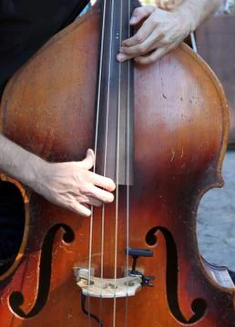 Bass Stock Photos