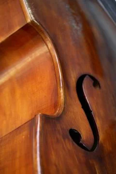 Bass 스톡 사진
