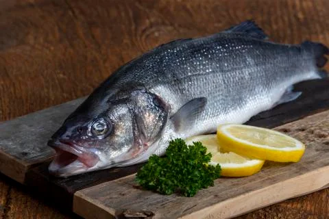 Bass Stock Photos