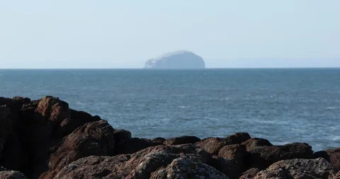 Bass Rock Video stock 101313328