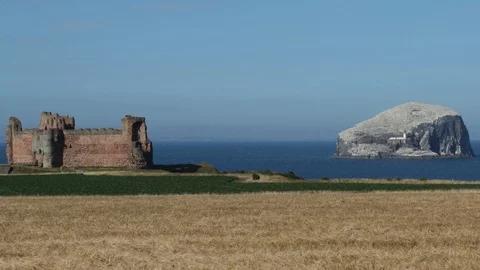 Bass Rock Stock Footage 101313433