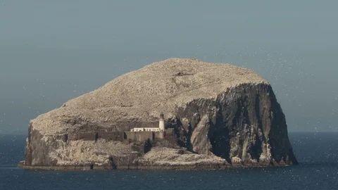 Bass Rock Video stock 101313459