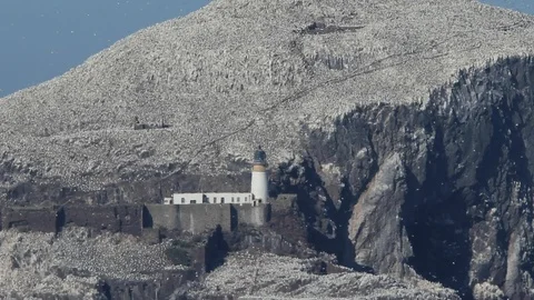 Bass Rock Video stock 101313526