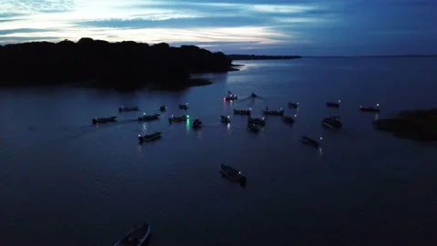 Bass Tournament Stock Footage 218479686
