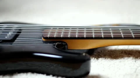 Bass - Tracking Stock Footage 10855836