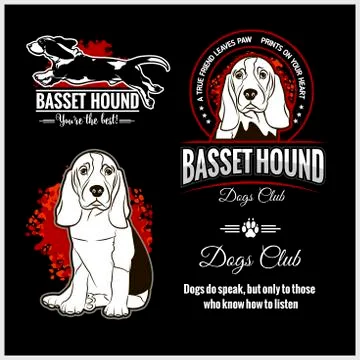 Basset Hound - vector set for t-shirt, logo and template badges Stock Illustration