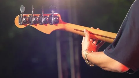 Bassist Viewed from Behind During Live Performance Stock Footage 283661919