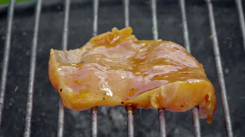 Basting Chicken Cutlet On Outdoor Grill With Glossy Sauce, Brush Strokes Stock Footage 325842995