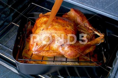 Basting A Thanksgiving Turkey In A Roasting Pan In An Oven.