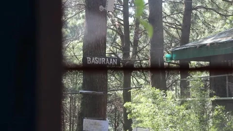 BASURAAN Stock-Footage 250335599