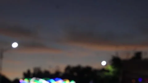 Bat (4) Stock-Footage 301166507