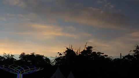 Bat (6) Video stock 301166771