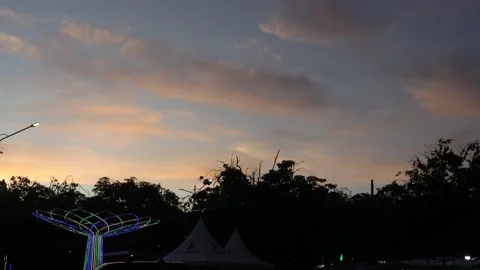 Bat (7) Video stock 301166532